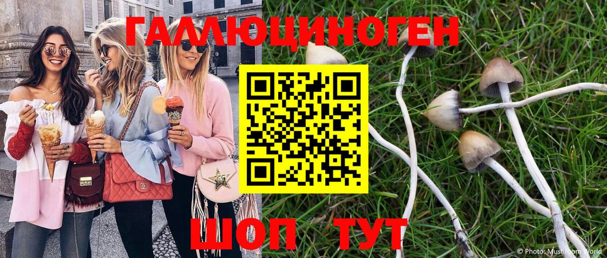 Псилоцибиновые грибы Cubensis Усть-Илимск